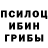 Галлюциногенные грибы Magic Shrooms jkjikj