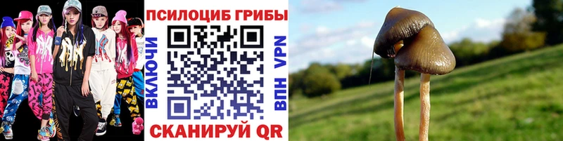 Галлюциногенные грибы Magic Shrooms  Кимры 